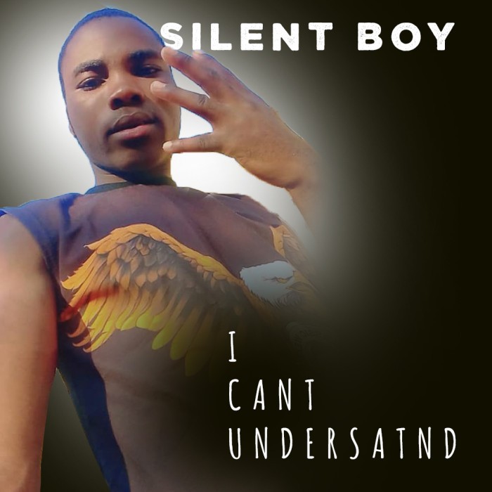 Song Cover